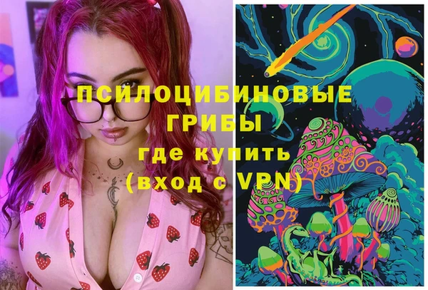 ПСИЛОЦИБИНОВЫЕ ГРИБЫ Пролетарск