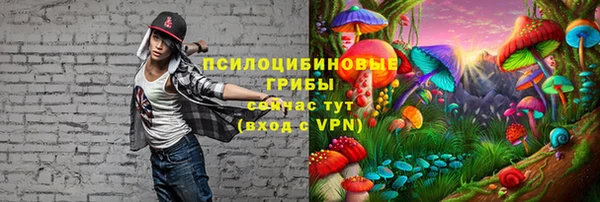 соль курить ск Белокуриха