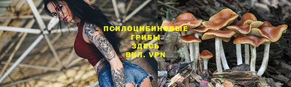 соль курить ск Белокуриха