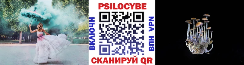 Псилоцибиновые грибы GOLDEN TEACHER  Сычёвка 
